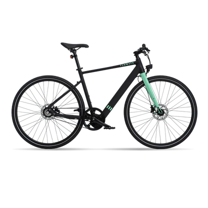 Ebike bérlés Balatonakarattya
